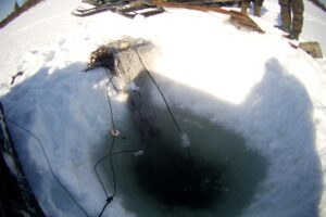 Результаты деятельности органов рыбоохраны Баренцево-Беломорского ТУ Росрыболовства с 08 апреля по 14 апреля 2019 года