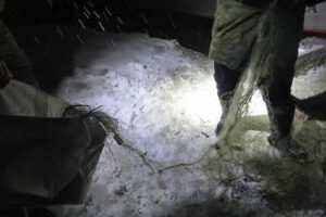 О работе отдела государственного контроля, надзора и охраны водных биологических ресурсов по Владимирской области