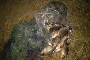 О работе отдела государственного контроля, надзора и охраны ВБР и среды их обитания по Московской области