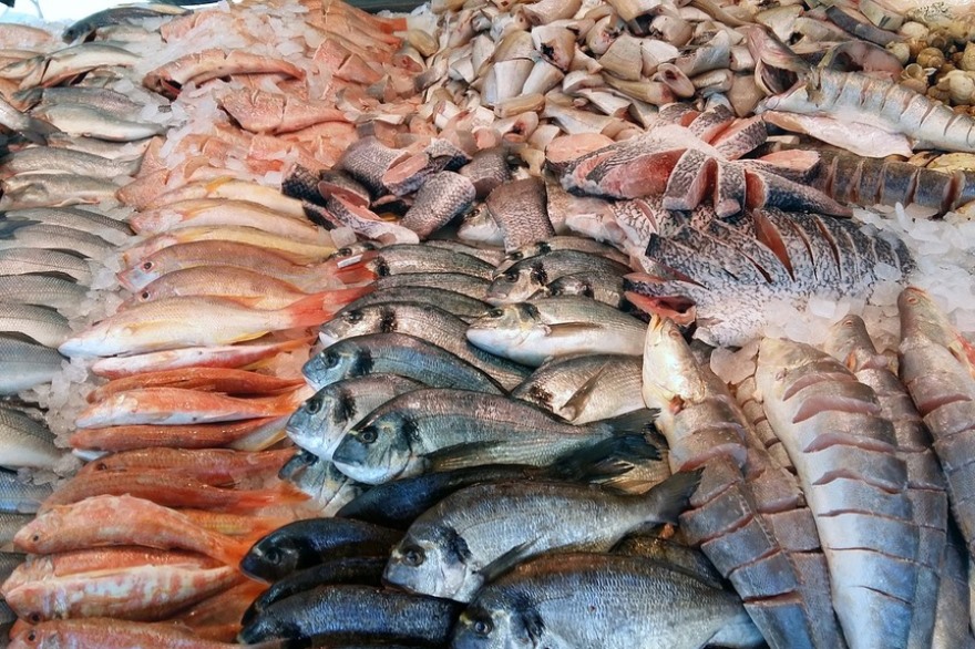 Рыбные ряды: мониторинг оптовых цен за первую неделю апреля