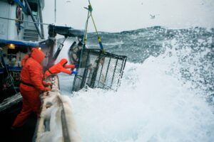 Российские рыбаки наращивают вылов на Дальнем Востоке, Волго-Каспии и Балтике