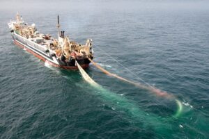 Объем вылова водных биоресурсов приближается к уровню прошлого года – 1,65 млн тонн