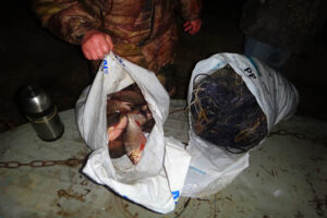 О работе отдела государственного контроля, надзора и охраны водных биологических ресурсов по Владимирской области