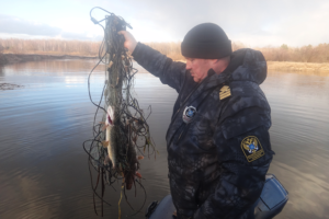 О работе отдела государственного контроля, надзора и охраны водных биологических ресурсов по Брянской и Смоленской областям