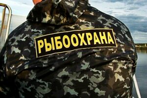 Зарегистрировано 216 правонарушений