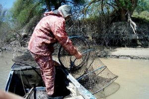 Извлечены 56 браконьерских сетей и 5 вентерей