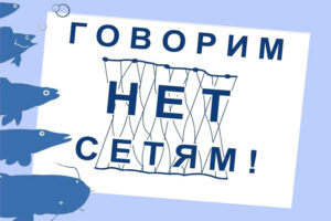 АНОНС: 16 мая состоится пресс-конференция о всероссийской акции «День без сетей»
