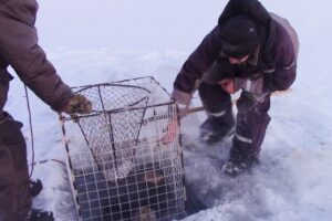 Год задался