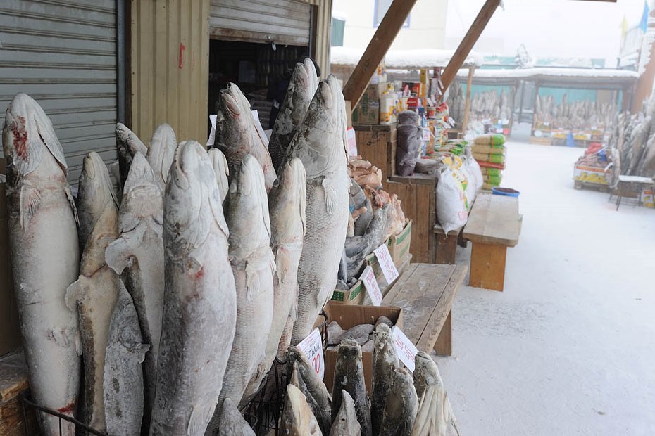 Рыбные ряды: обзор ценовой ситуации на оптовом рынке на 28 января