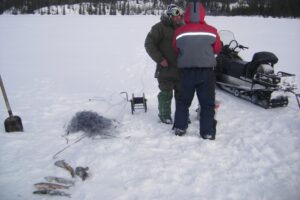 ﻿Результаты деятельности органов рыбоохраны Баренцево – Беломорского ТУ Росрыболовства с 09 января по 13 января 2019 года