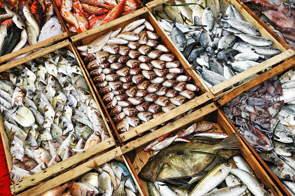 Экспорт рыбы и морепродуктов в 2018 году вырос на 4%, до 2,2 млн тонн, импорт снизился на 0,5%,до 596 тыс. тонн