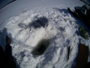 Результаты деятельности органов рыбоохраны Баренцево-Беломорского ТУ Росрыболовства с 14 января по 20 января 2019 года.