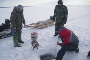 Результаты деятельности органов рыбоохраны Баренцево-Беломорского ТУ Росрыболовства с 21 января по 27 января 2019 года.