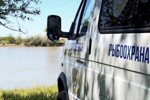 Показатели работы Западно-Каспийского ТУ Росрыболовства с 1 по 7 января 2019 года