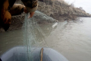 90 незаконно установленных сетей извлечено из реки Терек в Дагестане