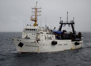 Россия начала исследования условий зимовки лососей в северной части Тихого океана