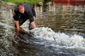Объем выпусков молоди для восполнения запасов рыбы вырос в 2018 году на 7% – до 9,8 млрд штук