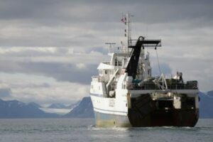 За первый месяц 2019 года российские рыбаки добыли более 308 тыс. тонн водных биоресурсов