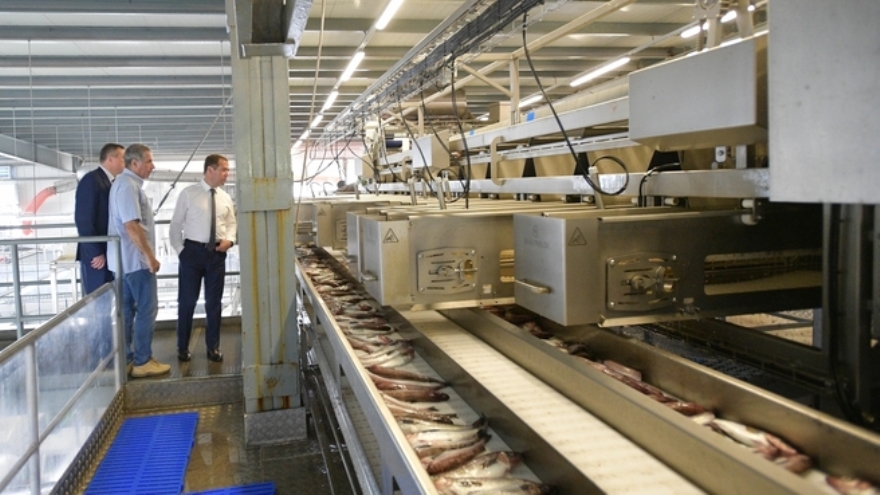 Дмитрий Медведев посетил рыбоперерабатывающий завод «Ясный»