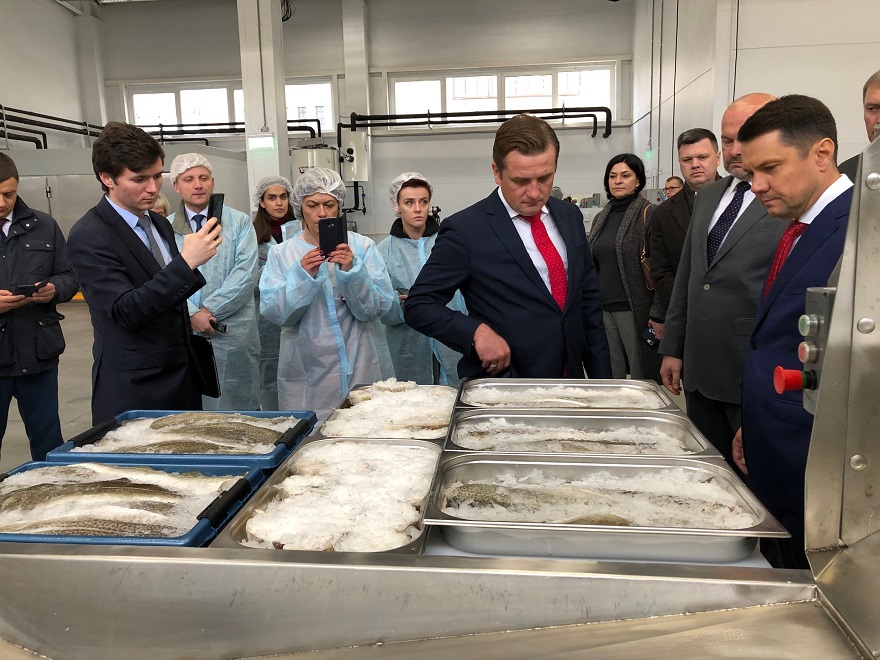 Механизм инвестквот в действии: в Архангельске открылся новый рыбоперерабатывающий завод