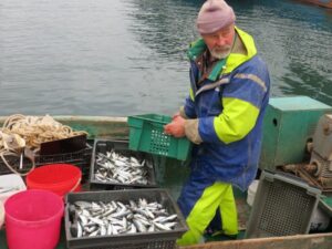 Крымские рыбаки идут на рекорд: улов по отдельным видам превысил уровень 2016 г. на 30%