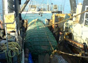 Специальный чат по вопросам ветсертификации позволяет оперативно решать проблемы рыбаков