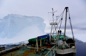 Российские ярусоловы начали промысел клыкача в Антарктике