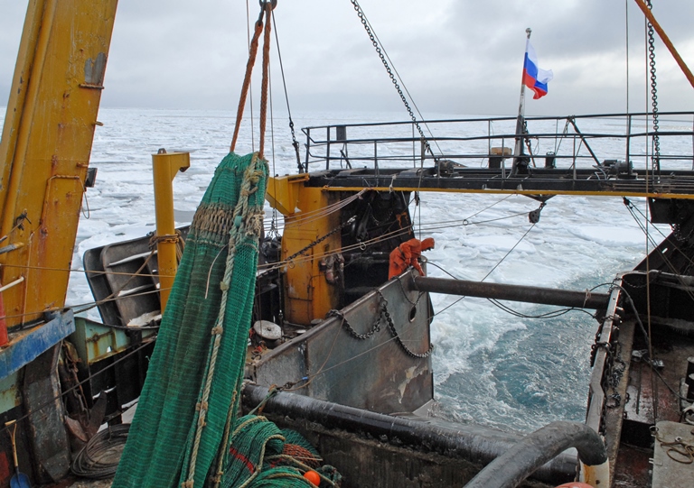 К началу ноября российские рыбаки увеличили вылов на 2,1%