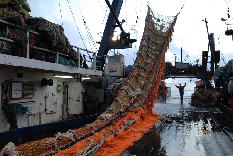 Улов российских рыбаков превысил 990 тыс. тонн
