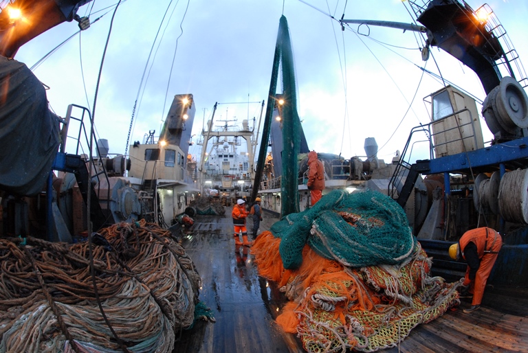 Вылов российских рыбаков превысил 4 млн тонн
