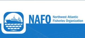 Под председательством России состоялась Рыболовная комиссия НАФО