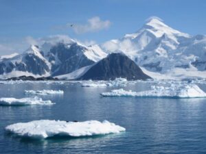 Состоялось заседание Комиссии по сохранению морских живых ресурсов Антарктики