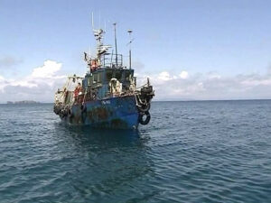 В Правительство направлен пакет поправок к перечню объектов для прибрежного рыболовства