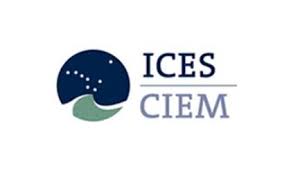 Критерии по оценке пелагических запасов Северо-Восточной Атлантики обсуждают на семинаре ИКЕС