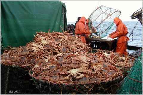 Выручка от реализации квот на добычу рыбы и крабов на торгах составила рекордные 6,75 млрд рублей
