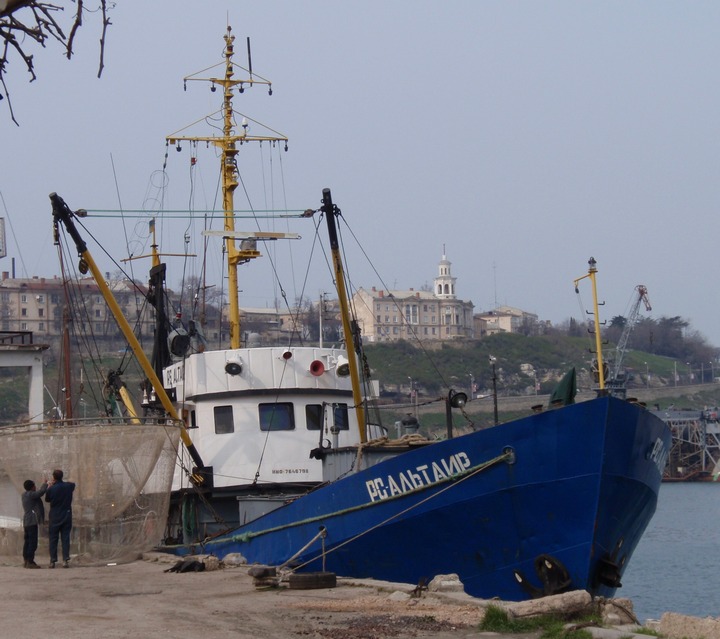 В Черном море активно идет промысел ставриды и других сезонных рыб