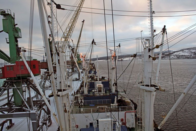 Российские рыбаки завершили мойвенную путину с 30% приростом вылова