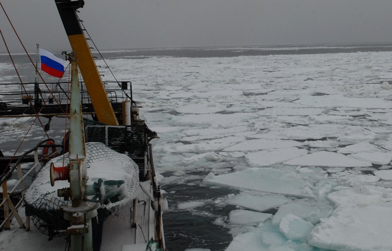 Росрыболовство разработает долгосрочный план научных исследований водных биоресурсов Арктики