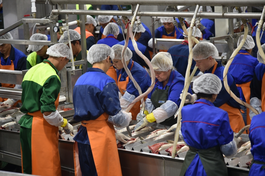 Производство рыбной продукции с начала года увеличилось на 4,3% – до 3,48 млн тонн