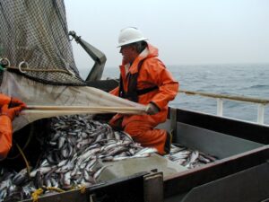 Итоги года: в 2019 году российские рыбаки добыли около 5 млн тонн водных биоресурсов