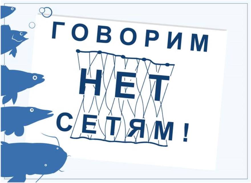 Росрыболовство 17 мая проведет акцию «Всероссийский день без сетей»