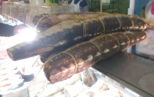 На Домодедовском рынке Москвы изъято почти 130 кг осетровых