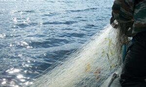 Водоемы для любительского рыболовства очистят от разросшихся растений и мусора