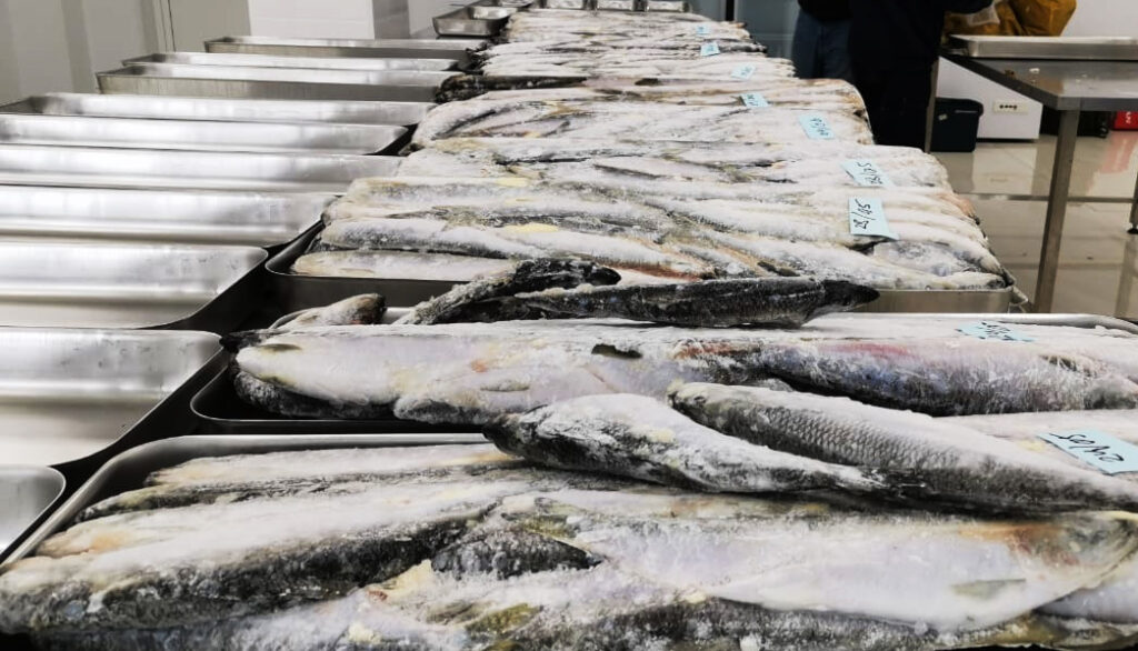 Аукционы по продаже рыбы переезжают в Россию