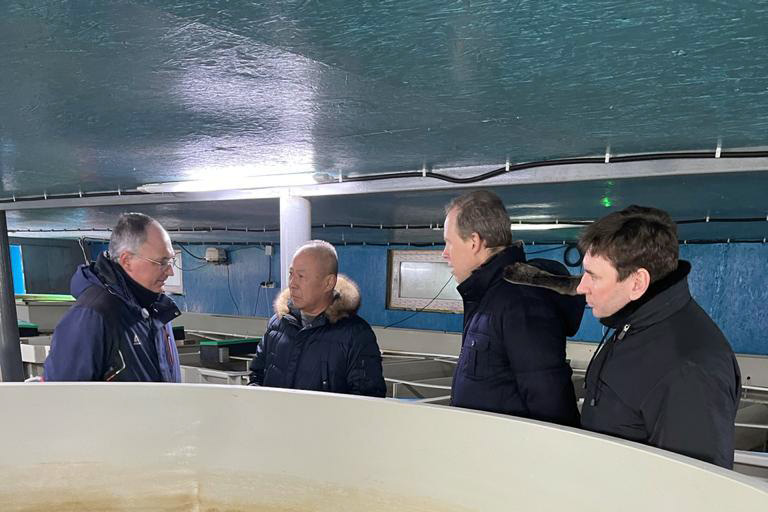 Сахалин делает ставку на заводское воспроизводство лососей