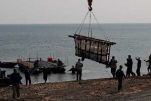 ВНИРО: Три косатки выпущены в Охотское море
