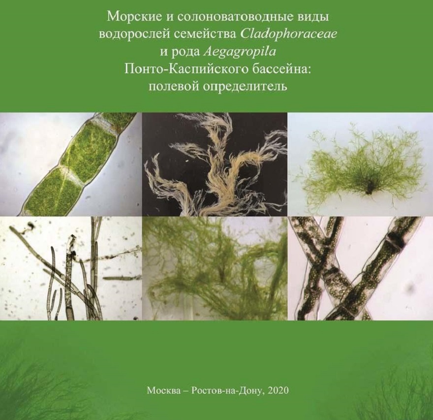 Российские ученые выпустили совместную монографию о зеленых водорослях юга России