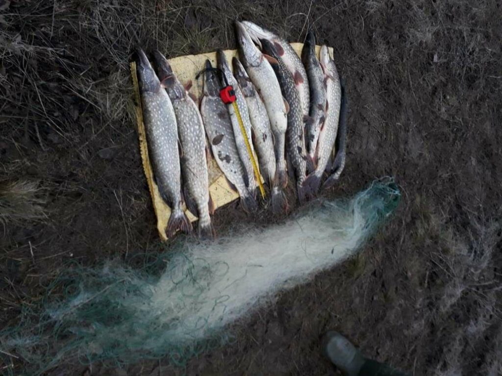 Рыбалка на льду может закончится уголовным наказанием
