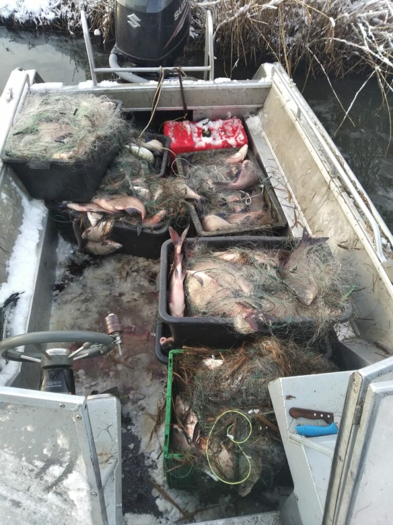 В Калининградском заливе задержаны браконьеры, в лодке которых обнаружен незаконный улов – 326 кг рыбы