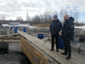 Руководитель Московско-Окского ТУ посетил предприятия по выращиванию и переработке рыбы в Ярославской области